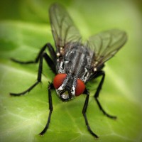 /album/tecnologia/photolia-a01-jpg/