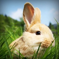 /album/tecnologia/photolia-a03-jpg/