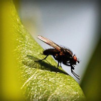 /album/tecnologia/photolia-a04-jpg/