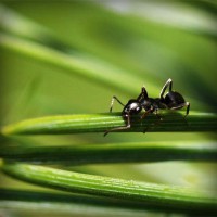 /album/tecnologia/photolia-a05-jpg/