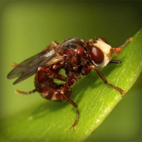 /album/tecnologia/photolia-a06-jpg/