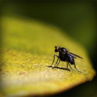 /album/tecnologia/photolia-a07-jpg/