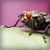 /album/tecnologia/photolia-a08-jpg/